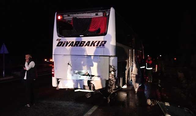 Yola çıkan at kazaya neden oldu