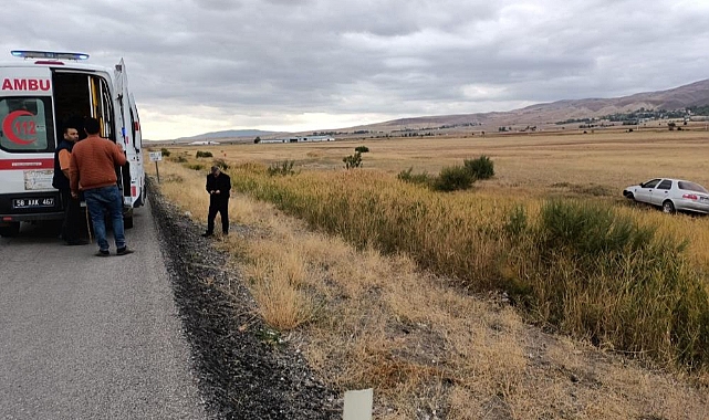 Yoldan çıkan otomobil tarlaya girdi: Yaralılar var