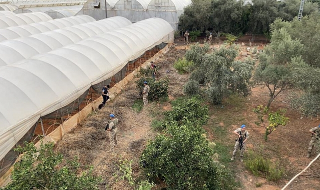 Zehir tacirlerine 'Beyaz Kelebek' operasyonu: 16 gözaltı