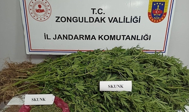 Zonguldak’ta uyuşturucu operasyonu