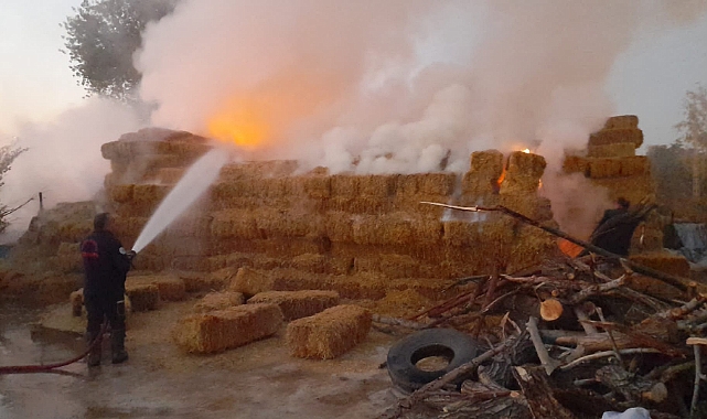 50 ton saman alevlere teslim oldu