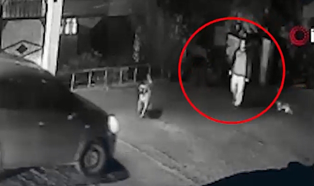 Alkollü baba oğlunu ezdi