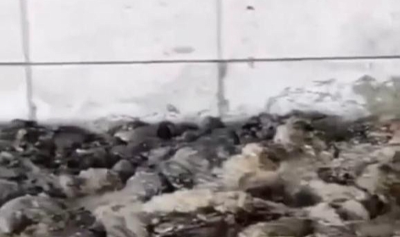 Ankara'yı karıştıran iddia