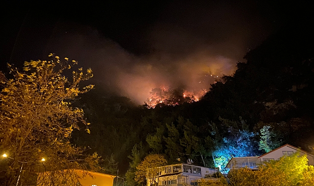 Bartın’da orman yangını: 4 kişi gözaltına alındı