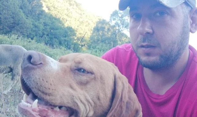 Bursa'da 20 bin liralık köpeğini çaldılar: Bulana ödül var