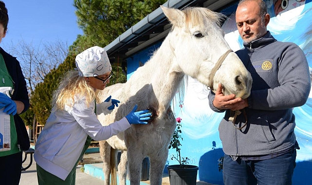 Bursa'da ölüme terk ettiler: Belediye sahip çıktı