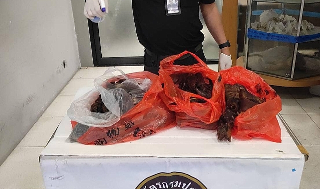 Çin'den giden yolcunun bavulundan çıkanlar şoke etti