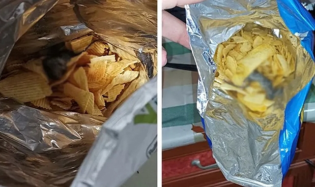 "Cips poşetindeki fare"de takipsizlik kararı!