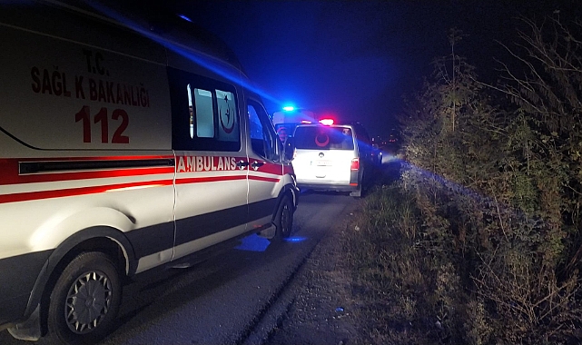 Direksiyon hakimiyetini kaybetti, evin bahçesine düştü