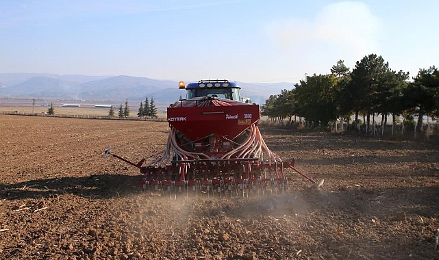En verimli buğday tohumunu belirlemek için 50 çeşit ekildi