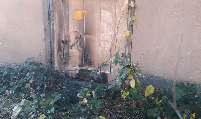 Evi kundaklamaya gitti, ağabeyi vuruldu