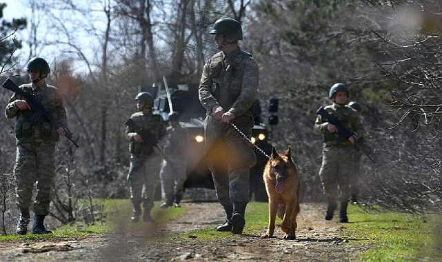 FETÖ üyeleri Yunanistan'a geçerken yakalandı