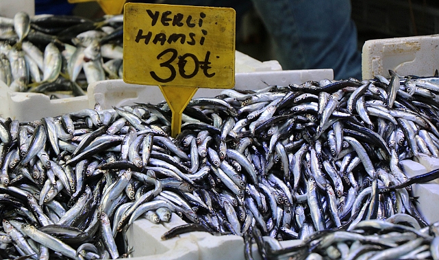 Hamsinin fiyatı düştü, talep azaldı
