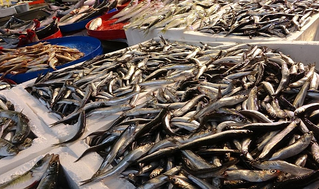 Hamsinin fiyatı yarı yarıya düştü