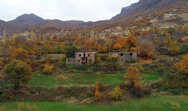 Harabe taş evler görenleri hayran bırakıyor
