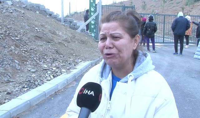 Hayvan barınaklarında ‘köpekler aç bırakılıyor’ iddiası
