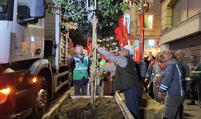 İstiklal Caddesi'ndeki ağaçlar kaldırılıyor