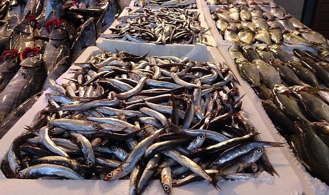 Karadeniz hamsisi tezgâhları süsledi