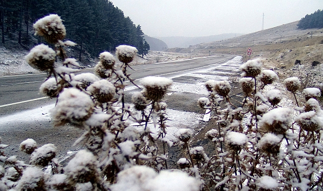 Kars'a kar düştü, kalınlığı 5 santimetreyi aştı
