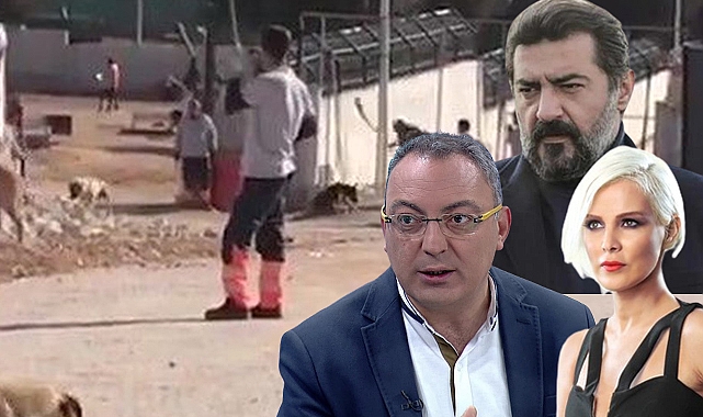 Konya'daki barınak vahşetine ünlülerden tepki yağdı
