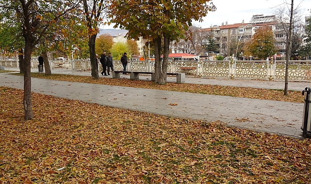 O ilde yapraklarının süpürülmesi yasaklandı