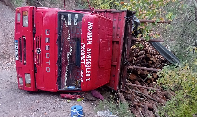 Odun yüklü kamyon devrildi