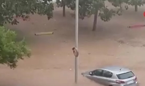 Şiddetli yağış can aldı