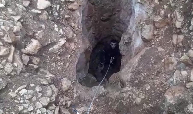 Talihsiz köpek definecilerin açtığı çukura düştü
