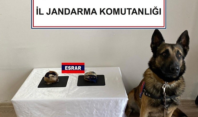 Uyuşturucuyu cips kutusuna saklamış