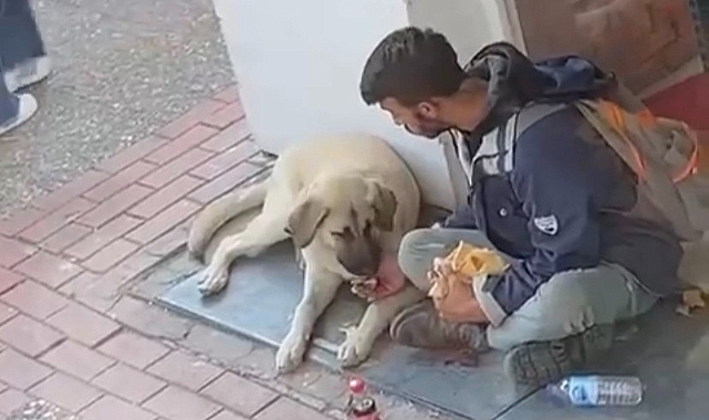 Yemeğini sokak köpeği ile paylaştı, sosyal medyada viral oldu