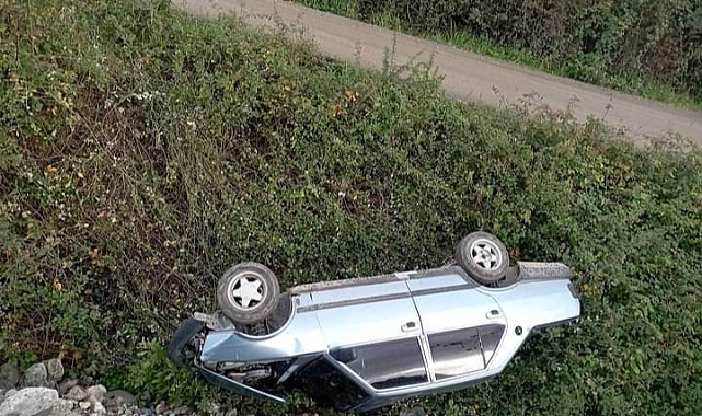 Yoldan çıktı, şarampole yuvarlandı
