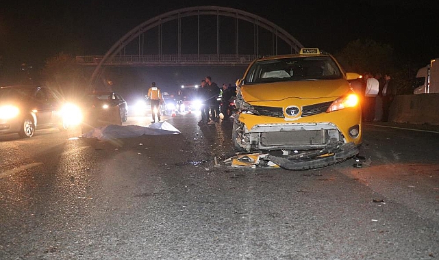Yolun karşısına geçmek isterken canından oldu