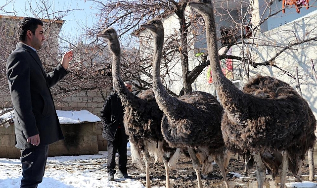 45 günlükken aldı: Evlatları gibi bakıyor