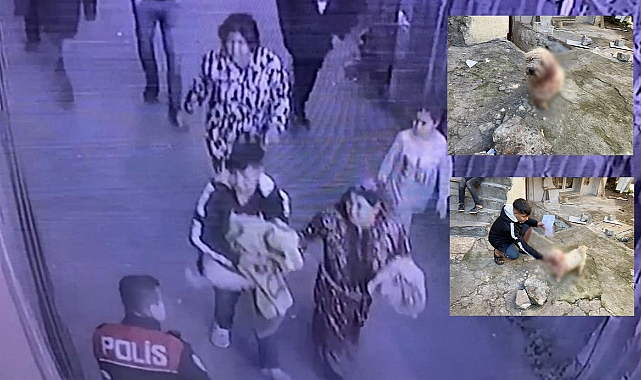 8 aylık köpeği bıçakla yaraladı