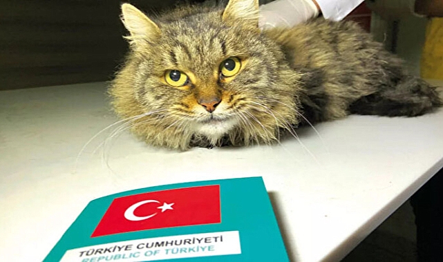Bakanlıktan çip açıklaması: Sürede uzatma olabilir