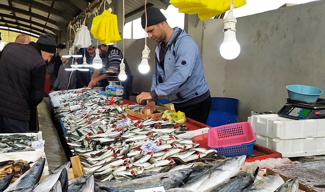 Balık bollaştı, fiyatlar ucuzladı