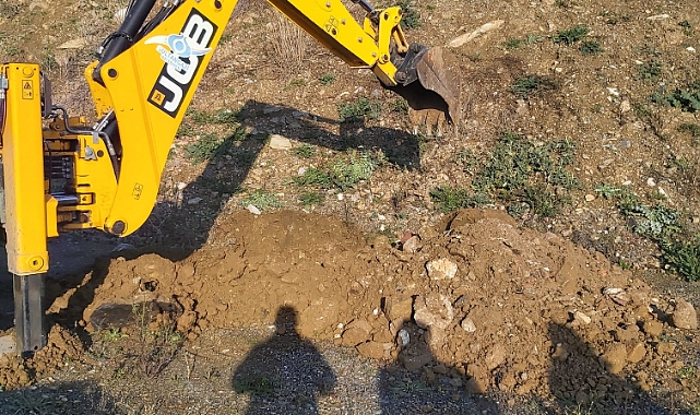 Bu kadarı da pes dedirtti: At keserken yakalandılar