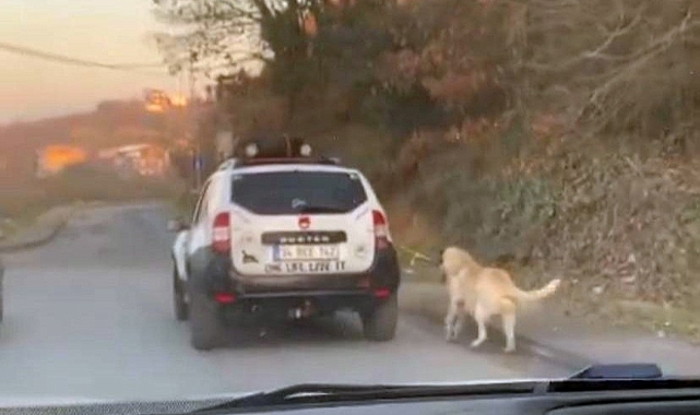 Bu kadarına pes! Metrelerce sürükledi