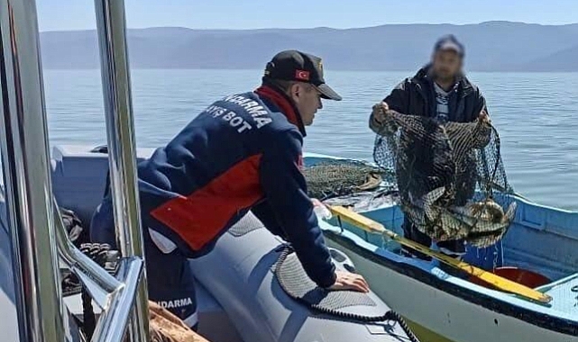 Bursa'da jandarmadan kaçak av operasyonu