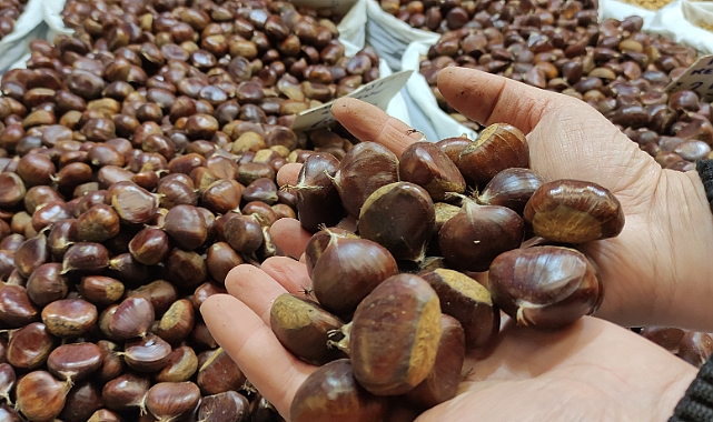 Bursa kestanesinde fiyatlar yüzleri güldürüyor