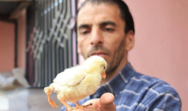 Diğerlerinden çok farklı! "10 katı fiyat teklifi geldi"