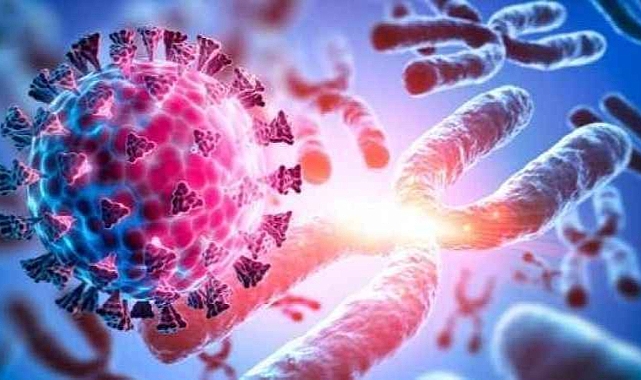 DSÖ'den korkutan uyarı: Yüzde 50 güç kazandı