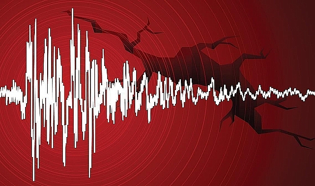 Düzce yine sallandı