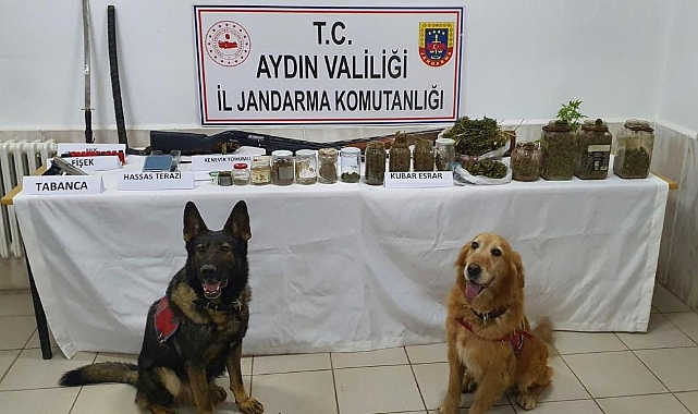 Evinden samuray kılıcı çıkan zehir taciri tutuklandı