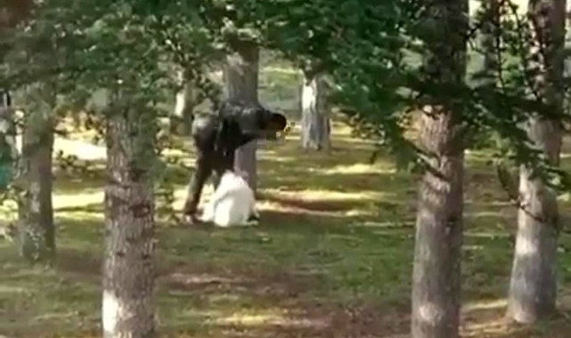 Köpeği kemerle dövdü, serbest bırakıldı