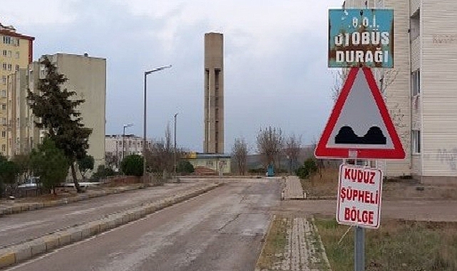 Kuduz şüphesiyle bir mahalle karantinada