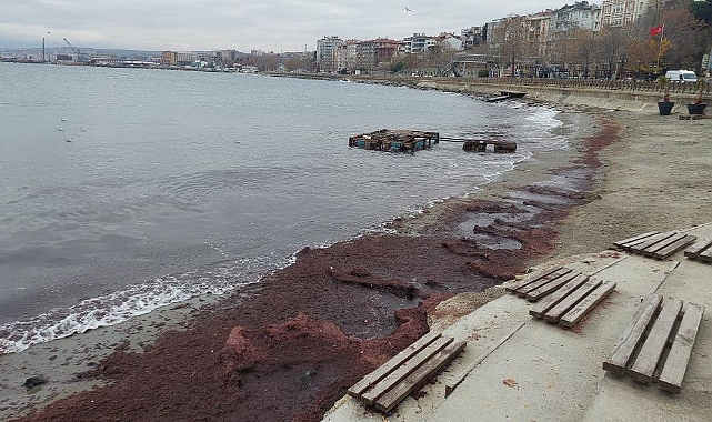 Lodos sahili kızıla boyadı
