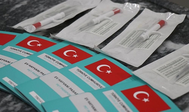 Mikroçiplerde tedarik sorunu başladı