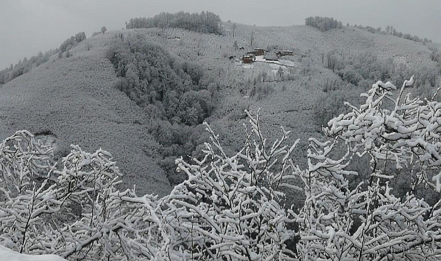 Ordu'da kar manzaraları