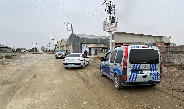 Otlayan koyunlar birer birer telef oldu